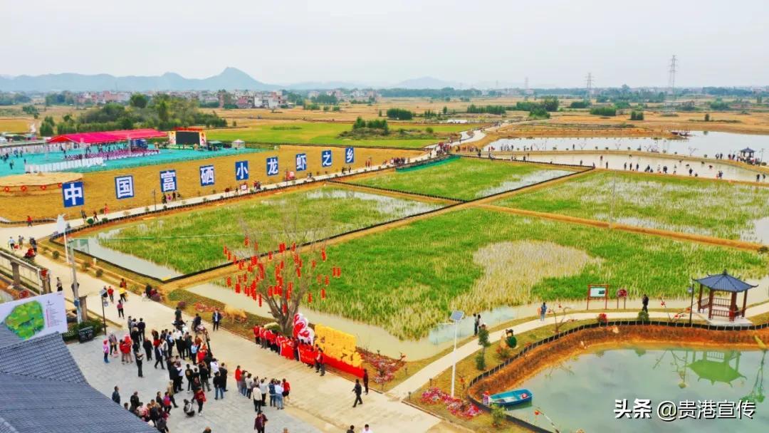 贵港富硒农产品品牌（贵港市富硒农产品）-硒宝网