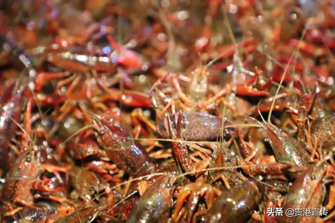 贵港富硒农产品品牌（贵港市富硒农产品）-硒宝网