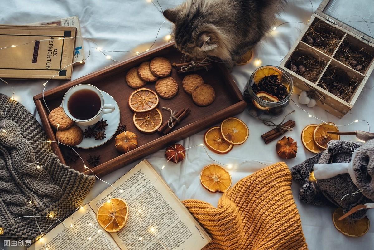 猫咪需要补钙吗(猫咪补钙需要多长时间)-硒宝网