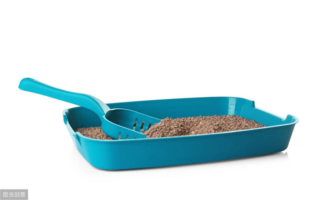 猫咪需要补钙吗(猫咪补钙需要多长时间)-硒宝网