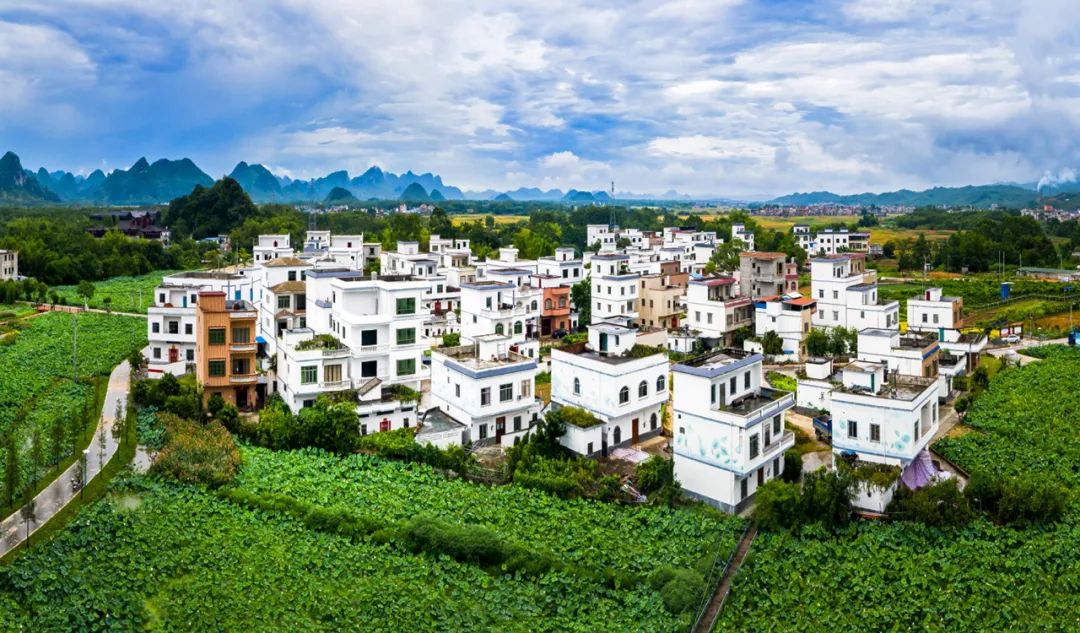 贵港富硒农产品市?。ü蟾凼懈晃┎氛故局行模?硒宝网