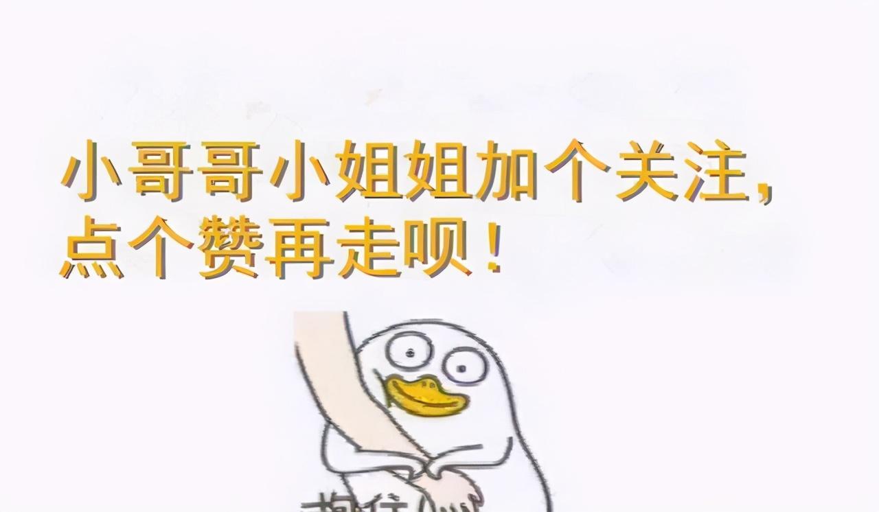 猫咪需要补钙吗（猫咪补钙需要补多久）-硒宝网