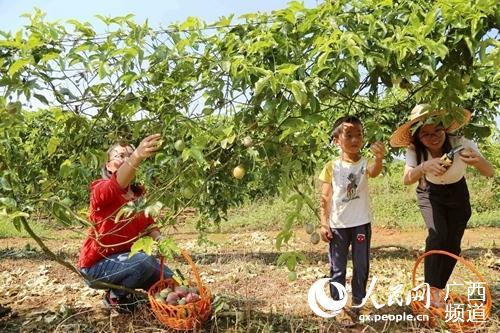 贵港富硒农产品品牌(广西贵港富硒土壤)-硒宝网