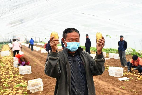 哪里收购富硒农产品(富硒农产品市场前景)-硒宝网