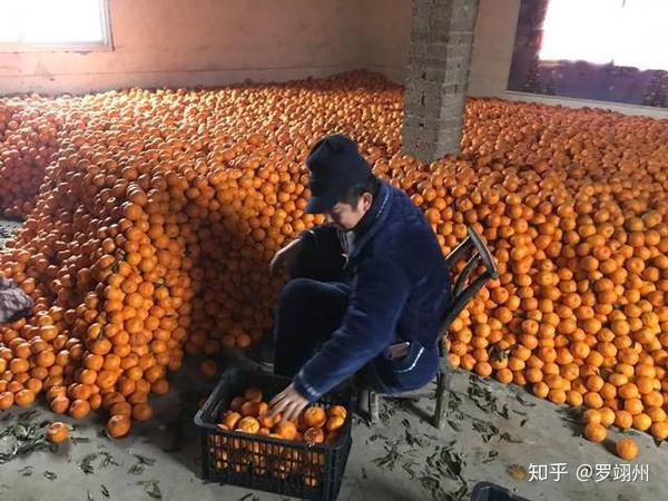 哪里收购富硒农产品（富硒农产品市场需求）-硒宝网