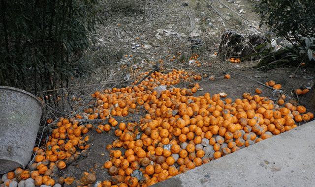 哪里收购富硒农产品（富硒农产品市场需求）-硒宝网