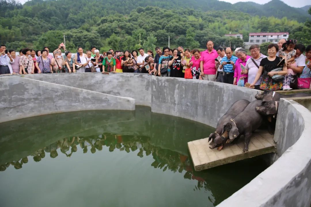 英山富硒产品怎么样（富硒产品是骗局）-硒宝网
