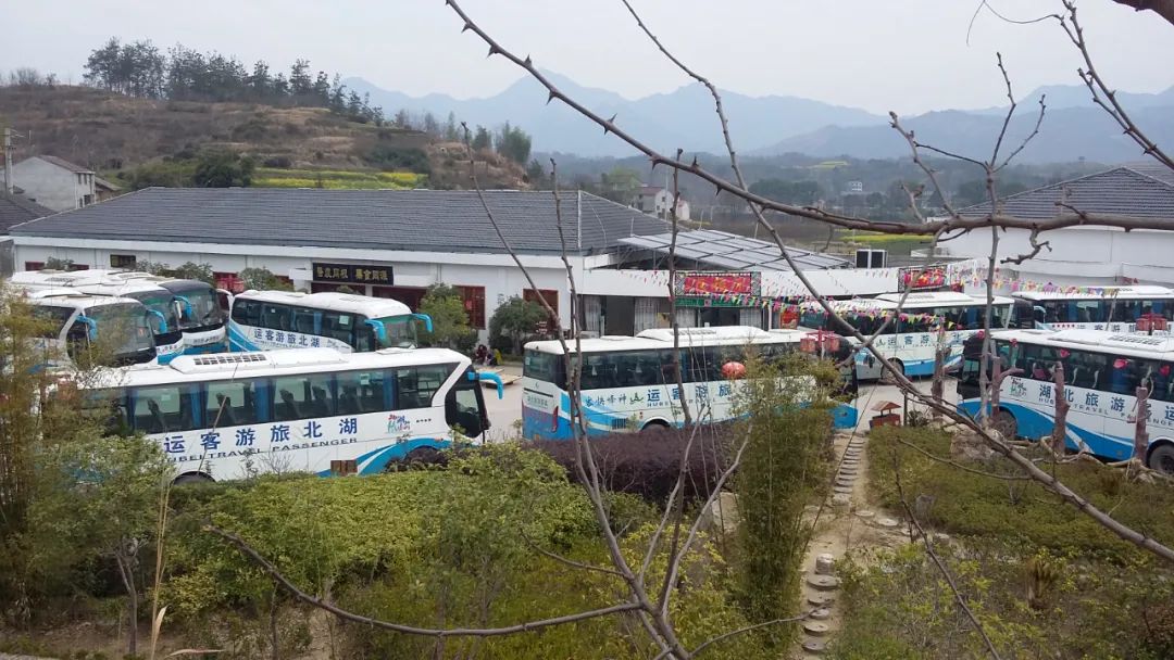 英山富硒产品怎么样（富硒产品是骗局）-硒宝网