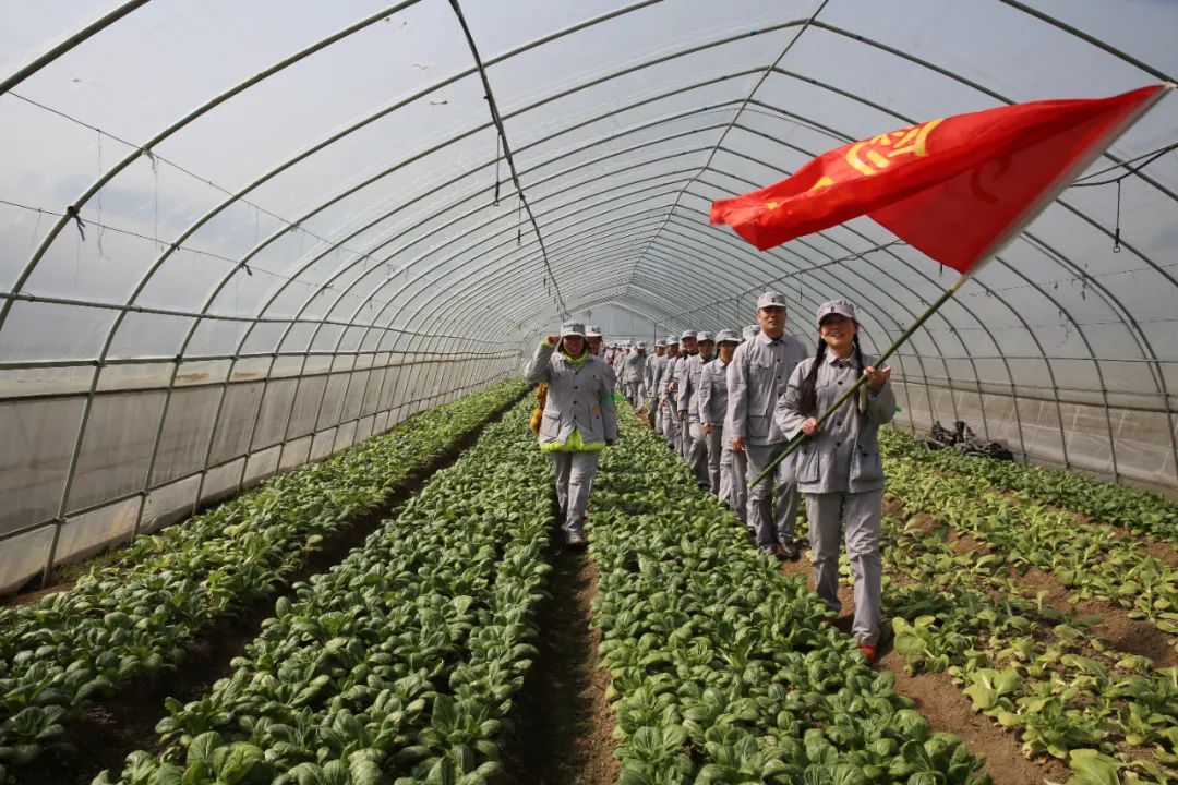 英山富硒产品怎么样（富硒产品是骗局）-硒宝网