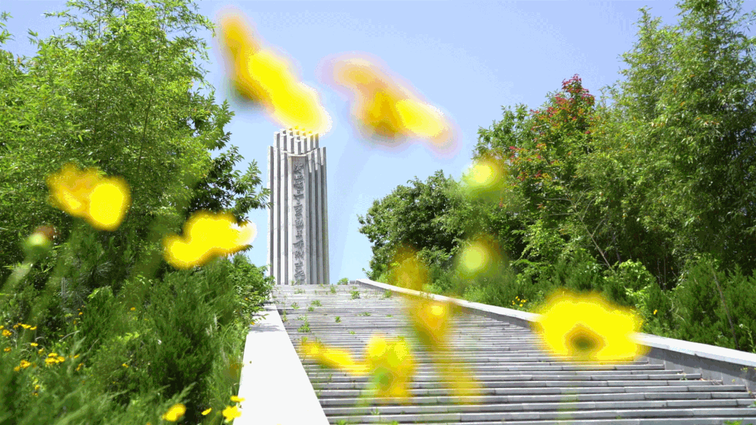 英山富硒产品怎么样（富硒产品是骗局）-硒宝网