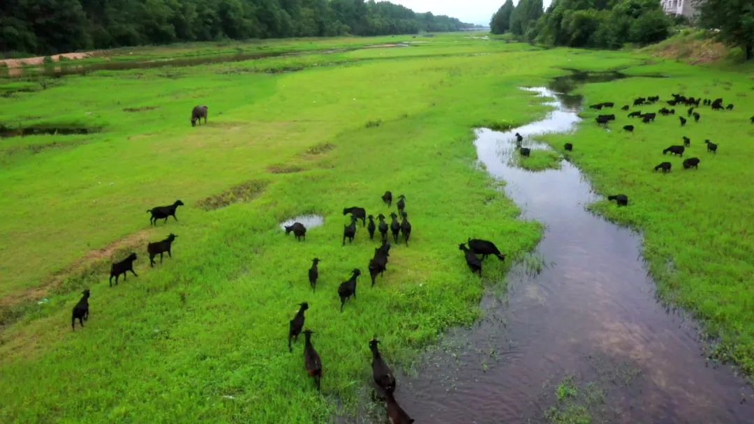 英山富硒产品怎么样（富硒产品是骗局）-硒宝网