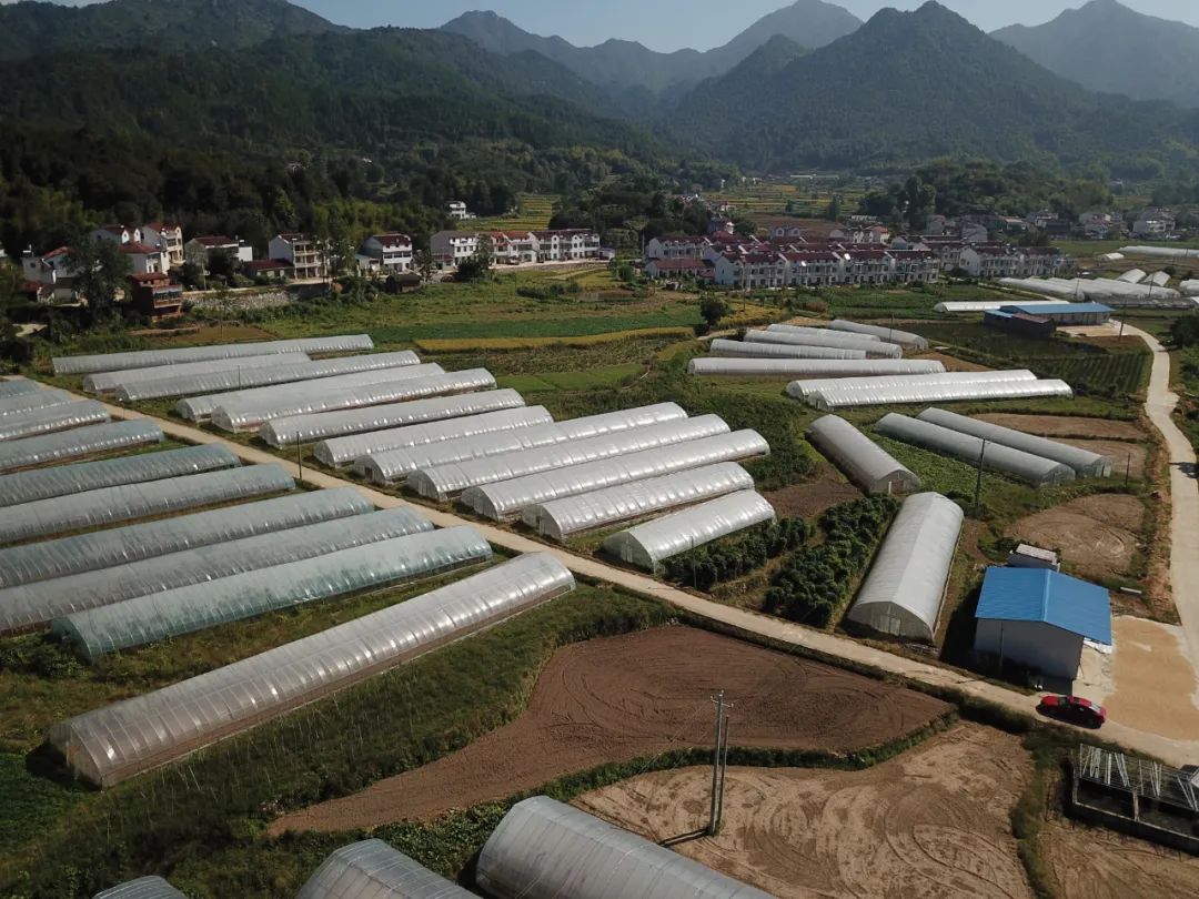 英山富硒产品怎么样（富硒产品是骗局）-硒宝网