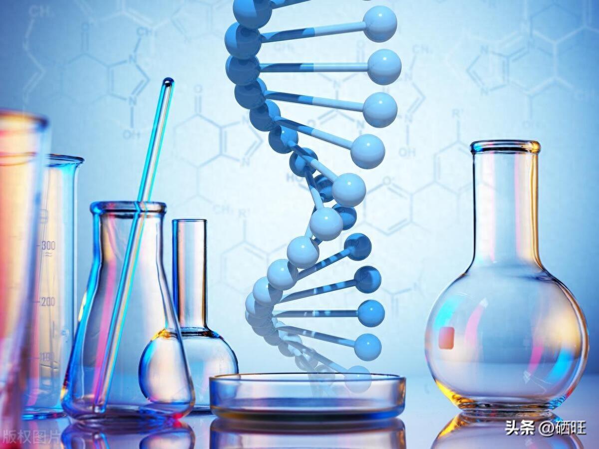 富硒产品的发展现状(富硒产业发展方向)-硒宝网