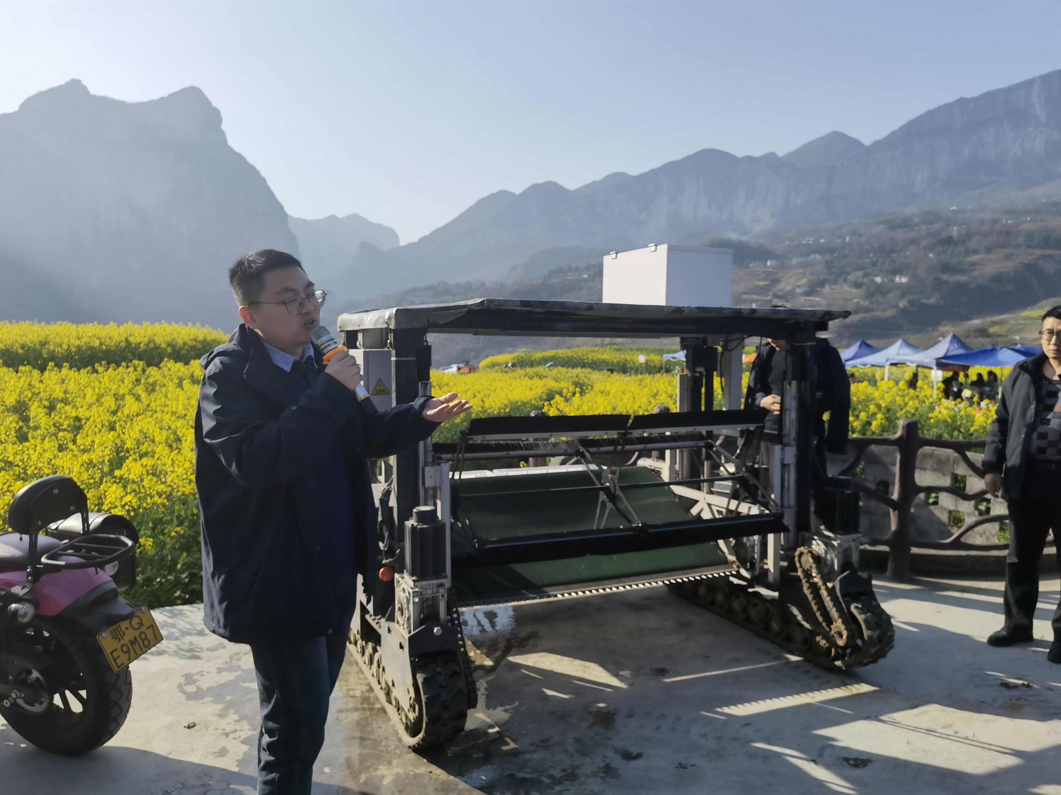 恩施富硒农产品现状(恩施富硒茶公司)-硒宝网