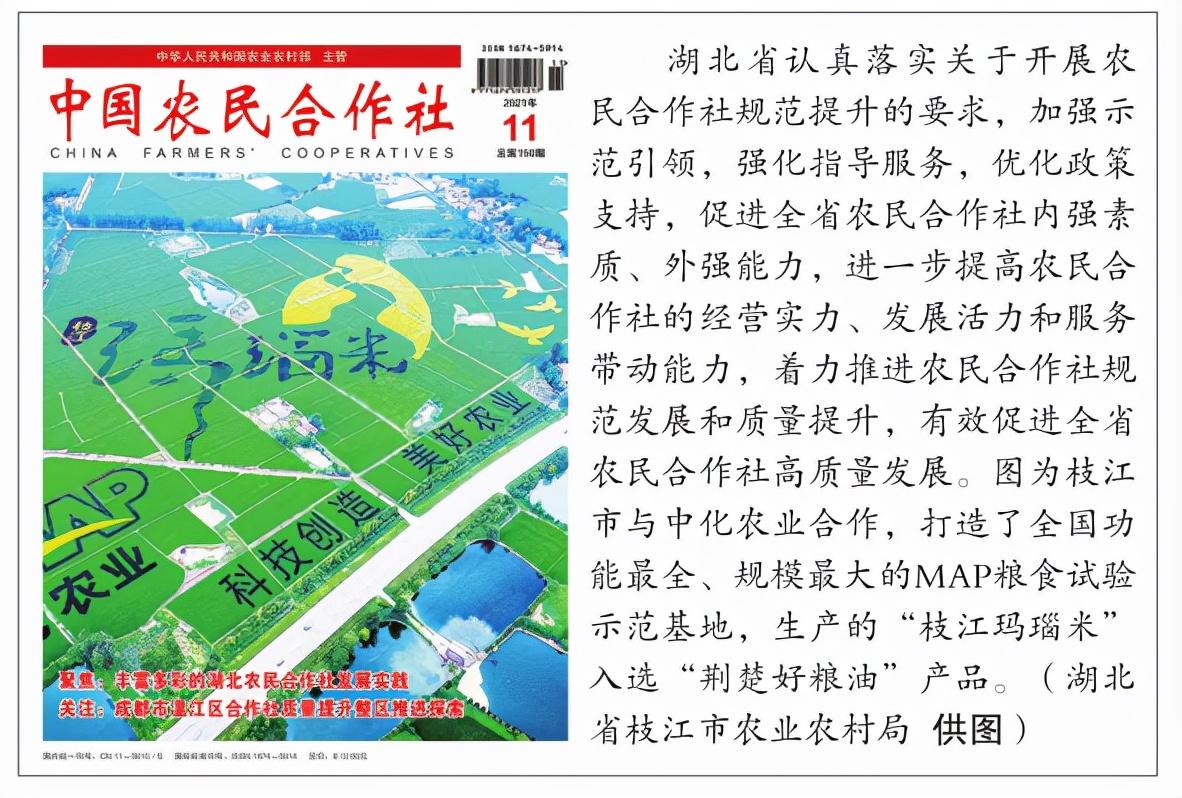 湖北富硒产品博览会(湖北富硒茶的功效与作用)-硒宝网