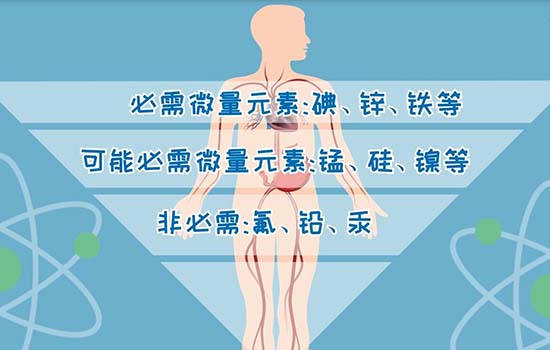 磨牙缺少什么微量元素(缺少微量元素磨牙会怎么样)-硒宝网