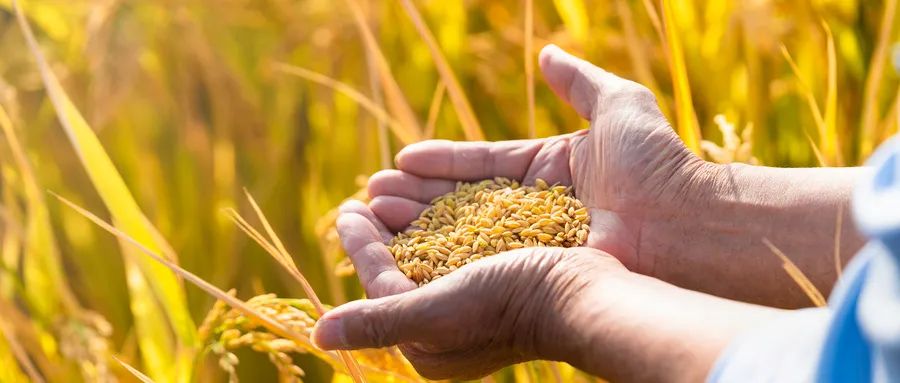 北京富硒农产品展会(北京国际富硒展会)-硒宝网