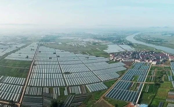 富硒绿色有机农产品(农用富硒)-硒宝网