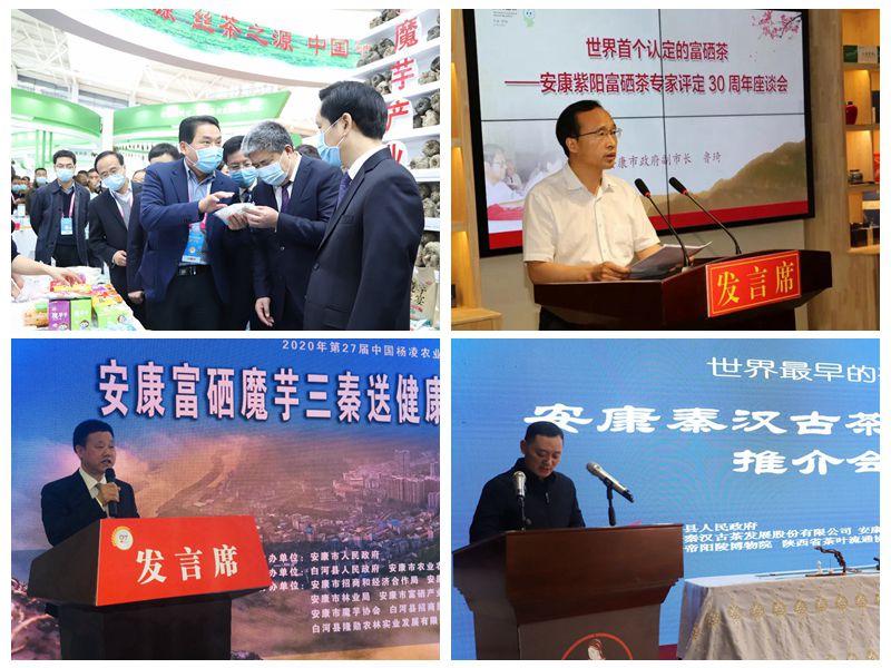 怎样经营富硒农产品(富硒农产品产业链)-硒宝网