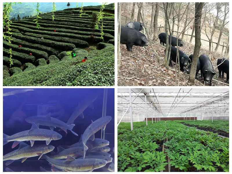 怎样经营富硒农产品(富硒农产品产业链)-硒宝网