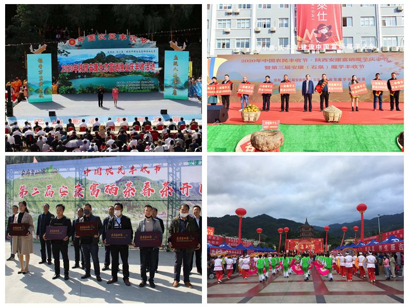 怎样经营富硒农产品(富硒农产品产业链)-硒宝网