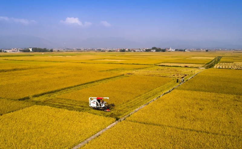 广西富硒农产品开发(广西富硒农产品协会)-硒宝网