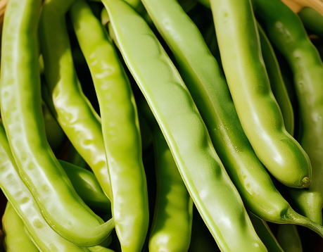 土豆补钙吗（土豆补钙用什么肥料）-硒宝网