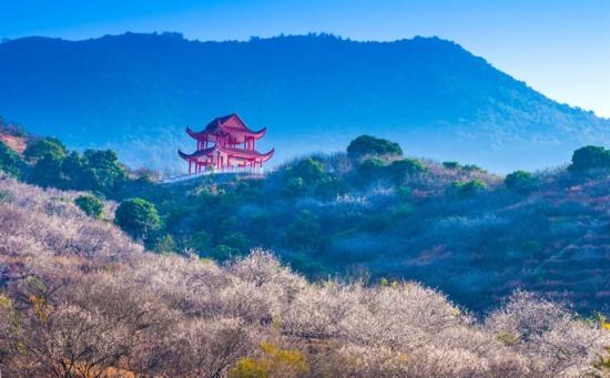 诏安有啥富硒的产品（诏安富硒的农产品）-硒宝网