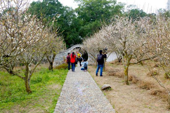 诏安有啥富硒的产品（诏安富硒的农产品）-硒宝网