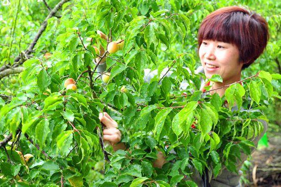 诏安有啥富硒的产品（诏安富硒的农产品）-硒宝网