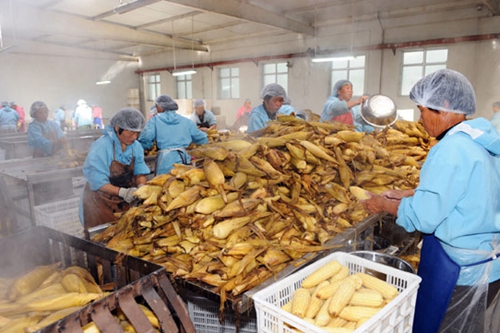 富硒农产品加工情况(富硒农副产品特点)-硒宝网