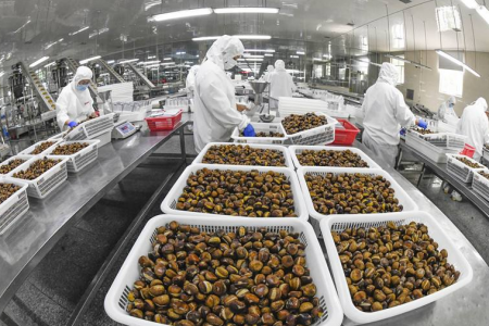 富硒农产品加工情况(富硒农副产品特点)-硒宝网