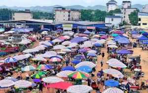 申请富硒农产品认定(富硒农产品认证机构)-硒宝网