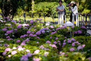 申请富硒农产品认定(富硒农产品认证机构)-硒宝网