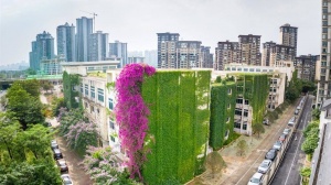 申请富硒农产品认定(富硒农产品认证机构)-硒宝网