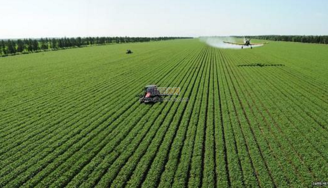 广西富硒农产品申请（广西富硒农产品认证在哪里办理）-硒宝网