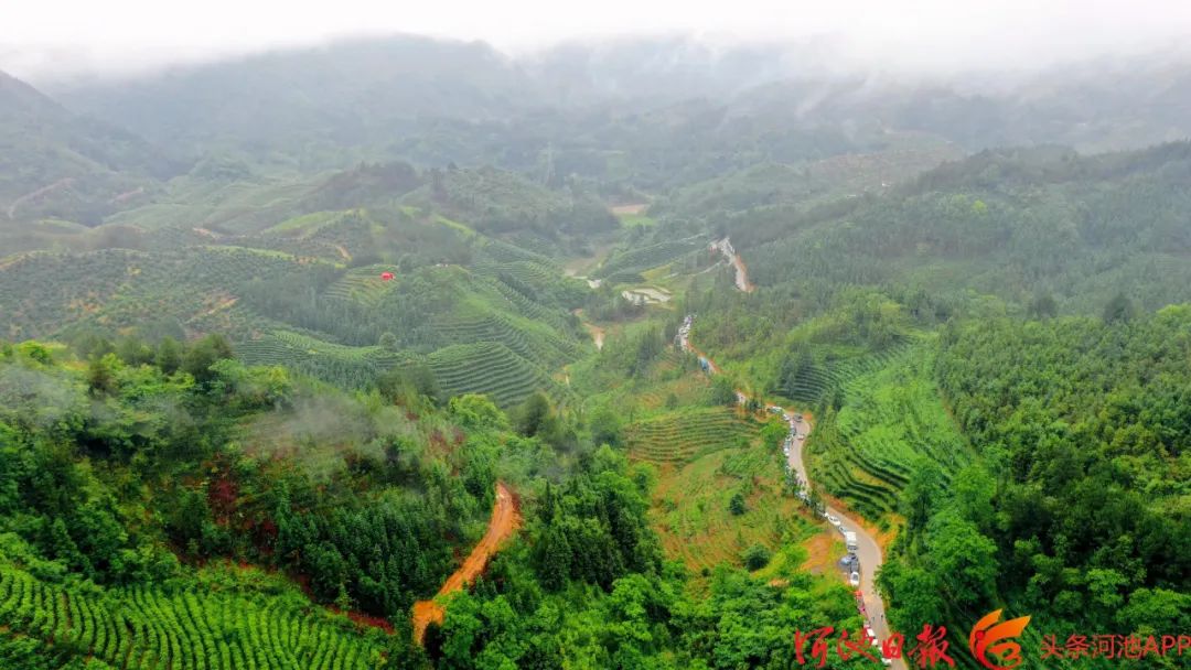 广西名优富硒农产品(广西富硒农产品协会)-硒宝网