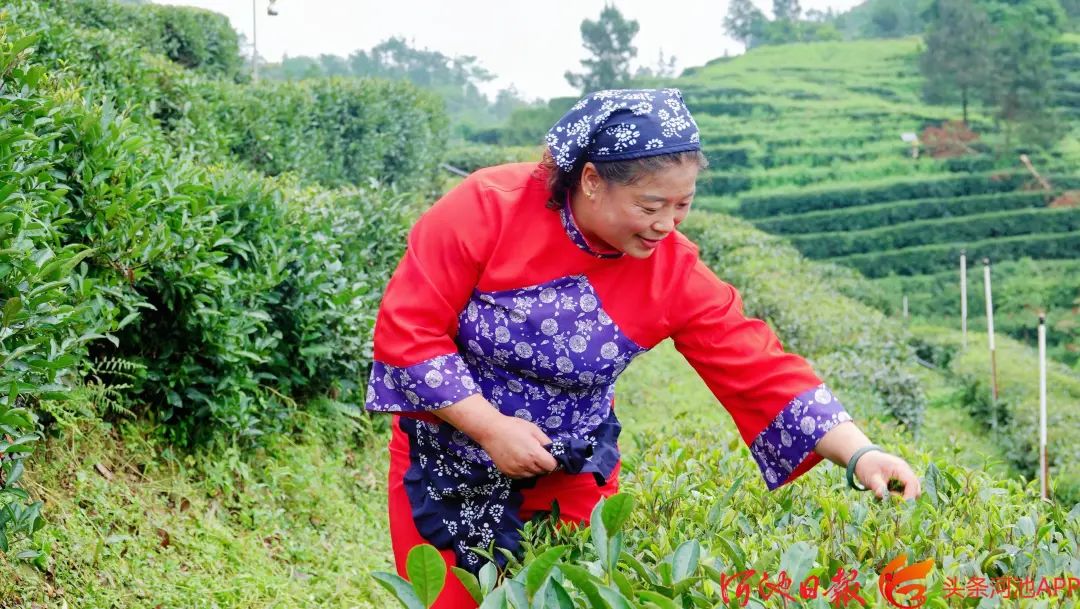 广西名优富硒农产品(广西富硒农产品协会)-硒宝网