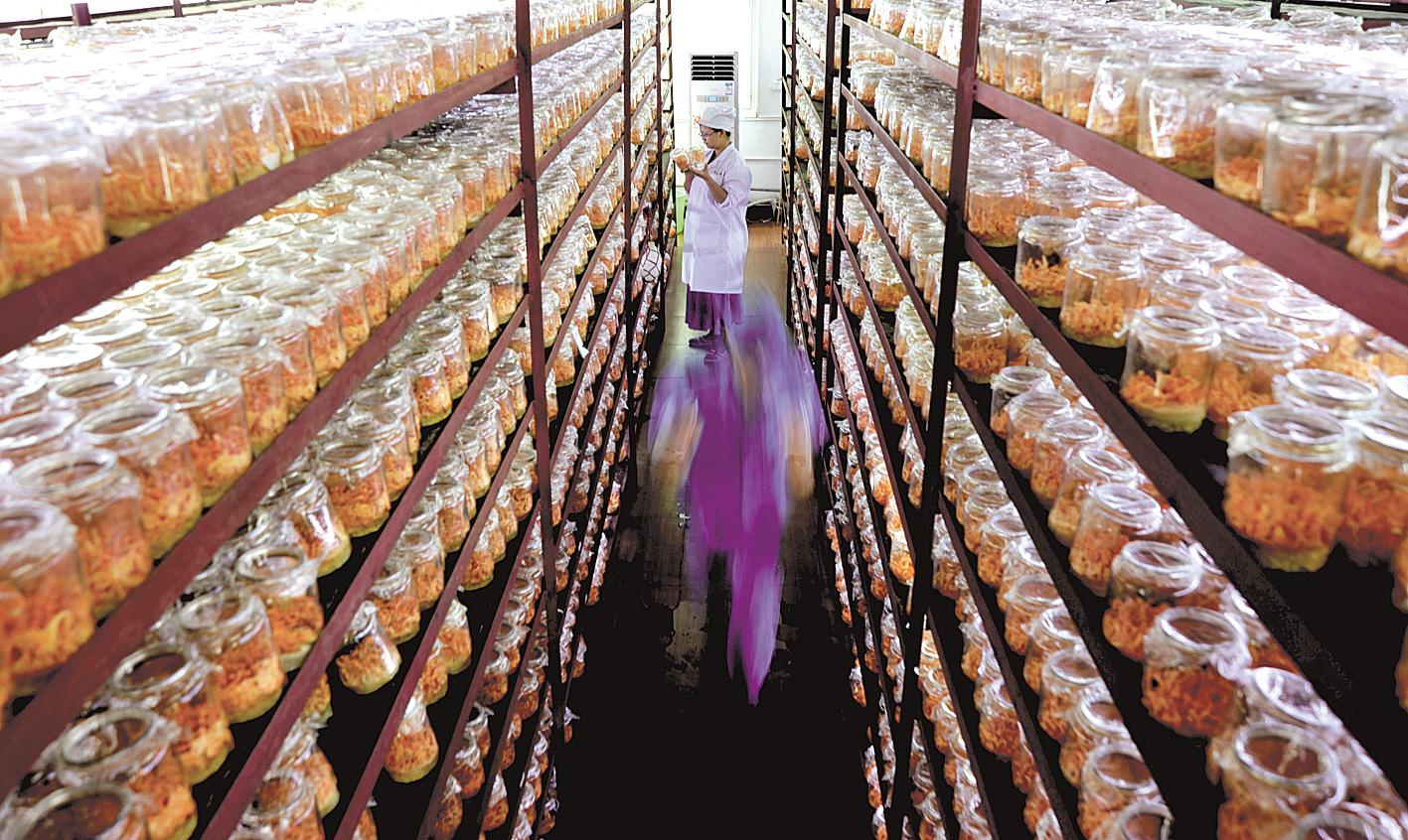 恩施特色富硒农产品（恩施富硒土特产）-硒宝网