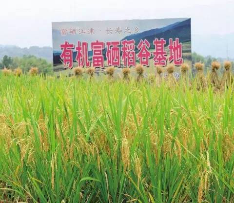 江津富硒农产品老板(江津富硒产品)-硒宝网