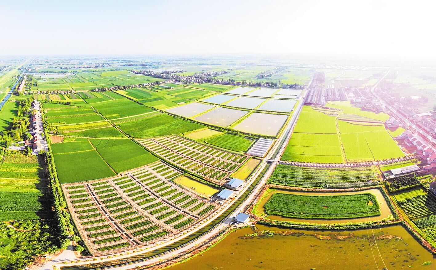 湖北省富硒产品标准（湖北省富硒产业技术研究院）-硒宝网