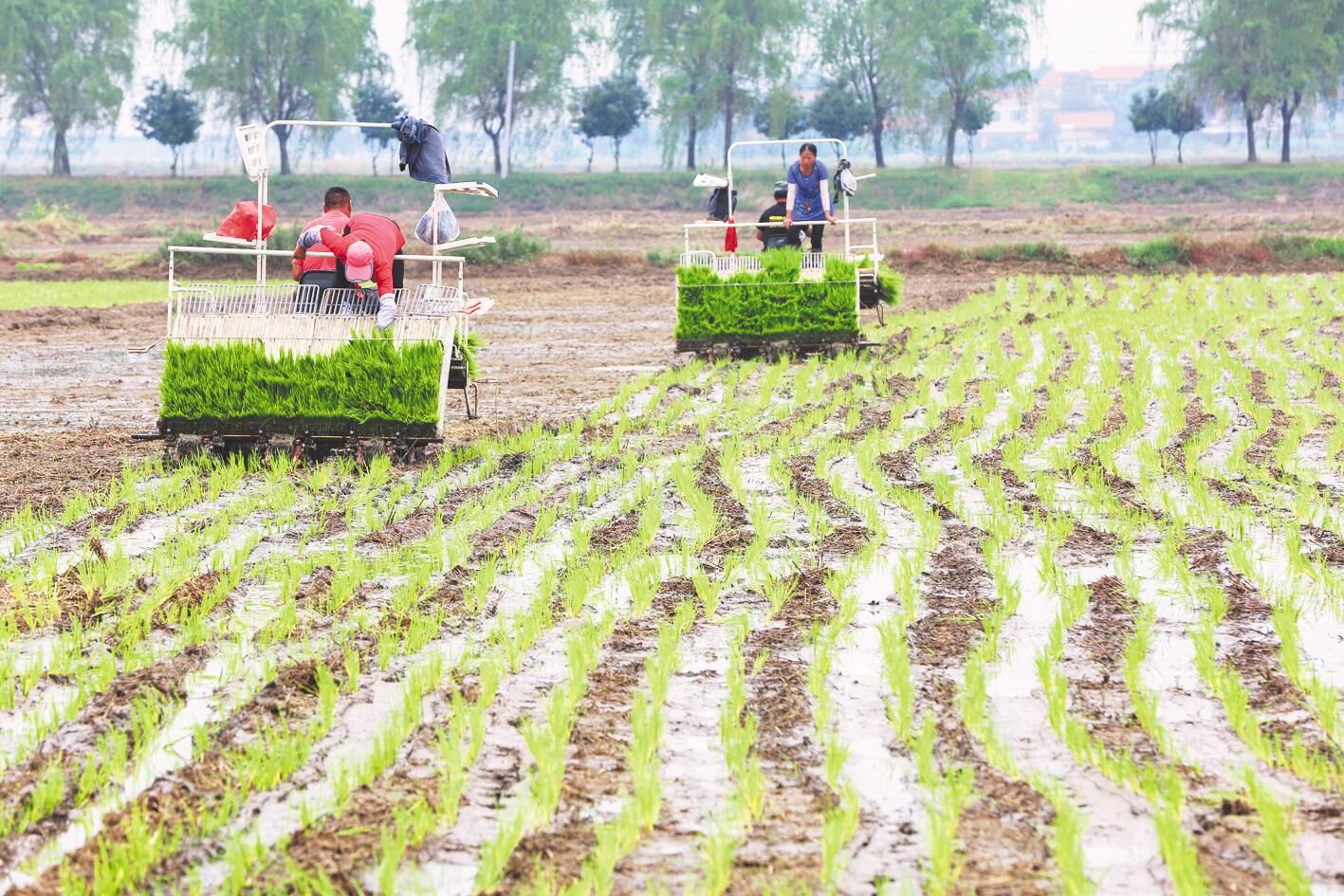 湖北省富硒产品标准（湖北省富硒产业技术研究院）-硒宝网