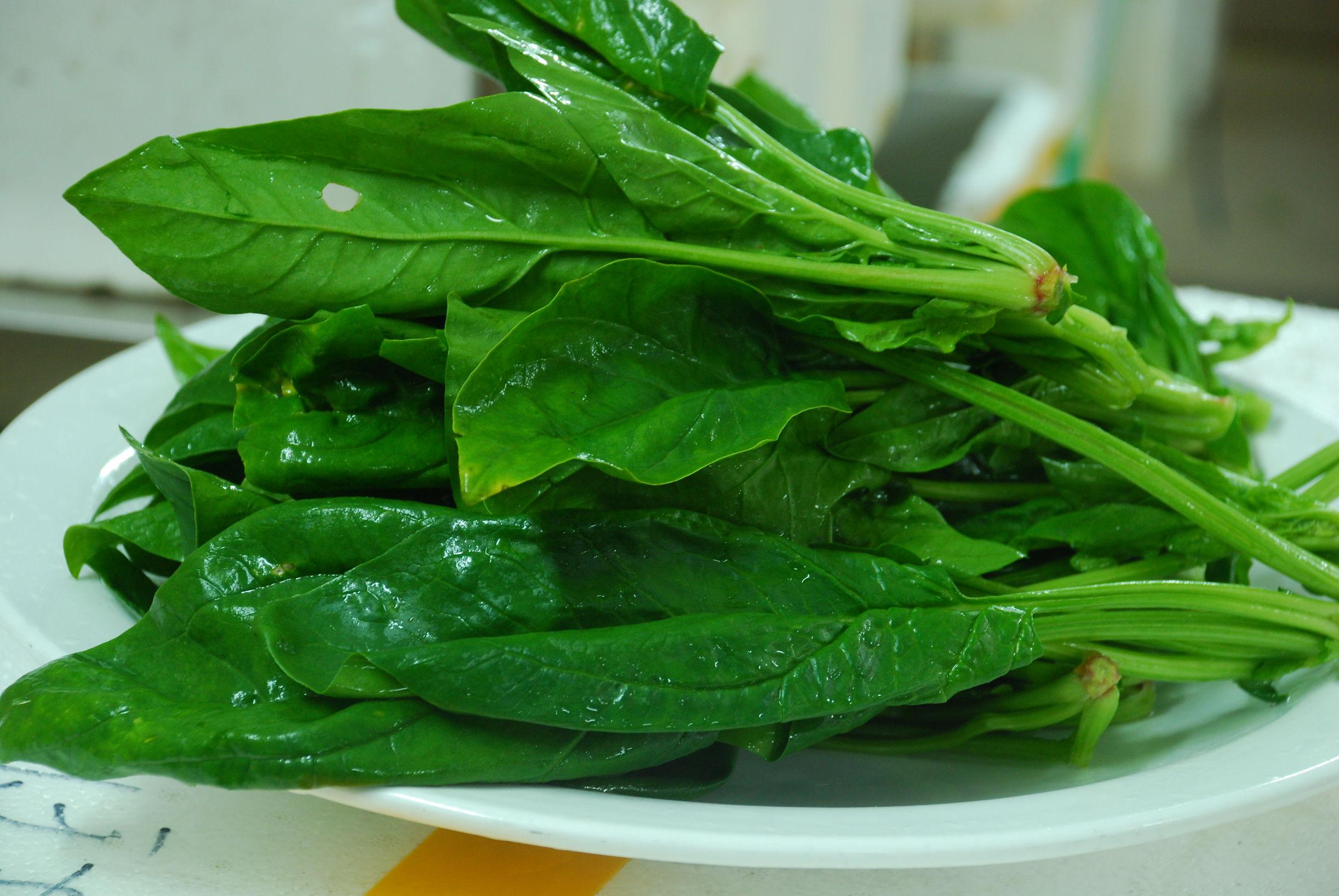 补钙不吸收怎么办(补钙的吸收率能达到多少)-硒宝网