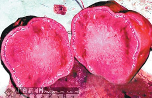 广西桂林富硒农产品（广西富硒产品有哪些）-硒宝网