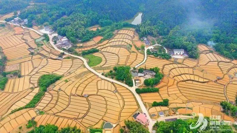 江津富硒农产品老板(江津富硒鸡蛋)-硒宝网