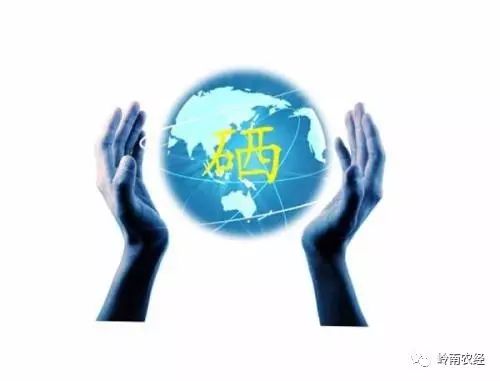 农产品国家富硒标准（富硒农产品硒含量标准）-硒宝网