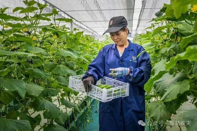 安徽合肥富硒农产品(安徽富硒村)-硒宝网