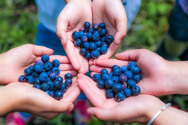 安徽合肥富硒农产品(安徽富硒村)-硒宝网