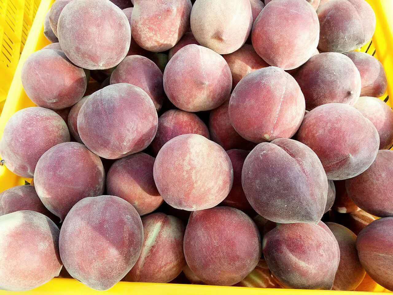 桃源富硒农产品加工(农桃源加工富硒产品怎么样)-硒宝网