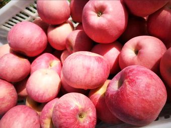 桃源富硒农产品加工(农桃源加工富硒产品怎么样)-硒宝网